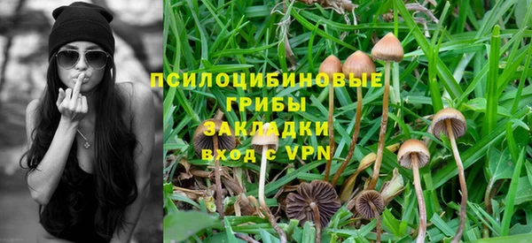 мяу мяу мука Сафоново